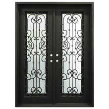 Load image into Gallery viewer, PINKYS Washington Black Exterior Double Flat Doors
