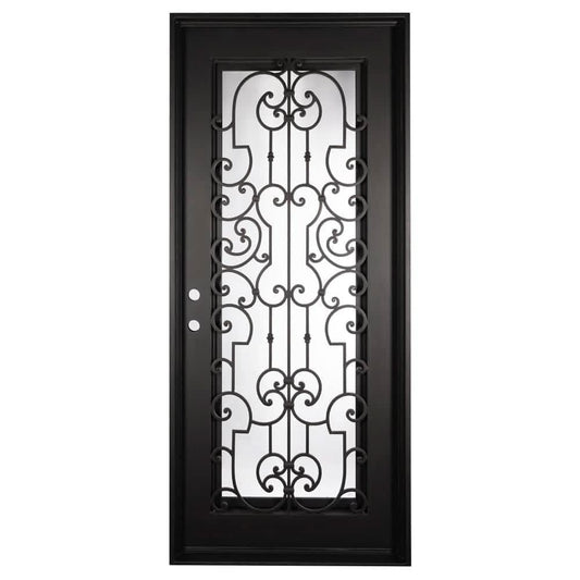 PINKYS Washington Black Steel Single Flat Doors