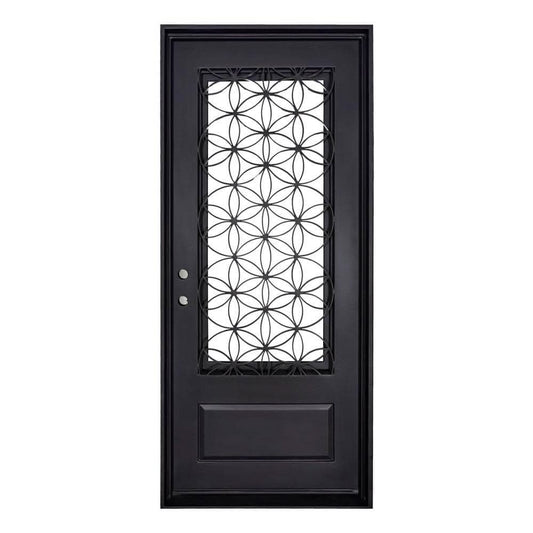 Single entryway door with a panel of glass behind iron detailing.