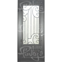 Single entryway door with a thick iron and steel frame and a full pane of glass behind intricate iron detailing.