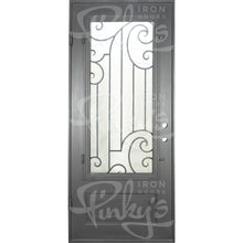 Load image into Gallery viewer, PINKYS Piano Black Steel Single Flat Doors