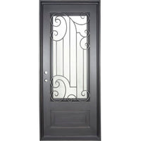 Single entryway door with a full length pane of glass behind intricate iron detailing and a thick iron frame. Door is thermally broken to protect from extreme weather.