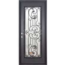 Load image into Gallery viewer, Single entryway door with a thick iron and steel frame and a full pane of glass behind intricate iron detailing. Door is thermally broken to protect from extreme weather. 