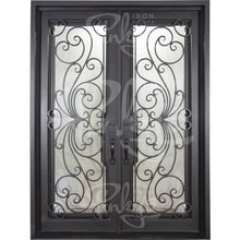 Load image into Gallery viewer, Double entryway doors with a thick iron and steel frame and a full pane of glass behind intricate iron detailing.