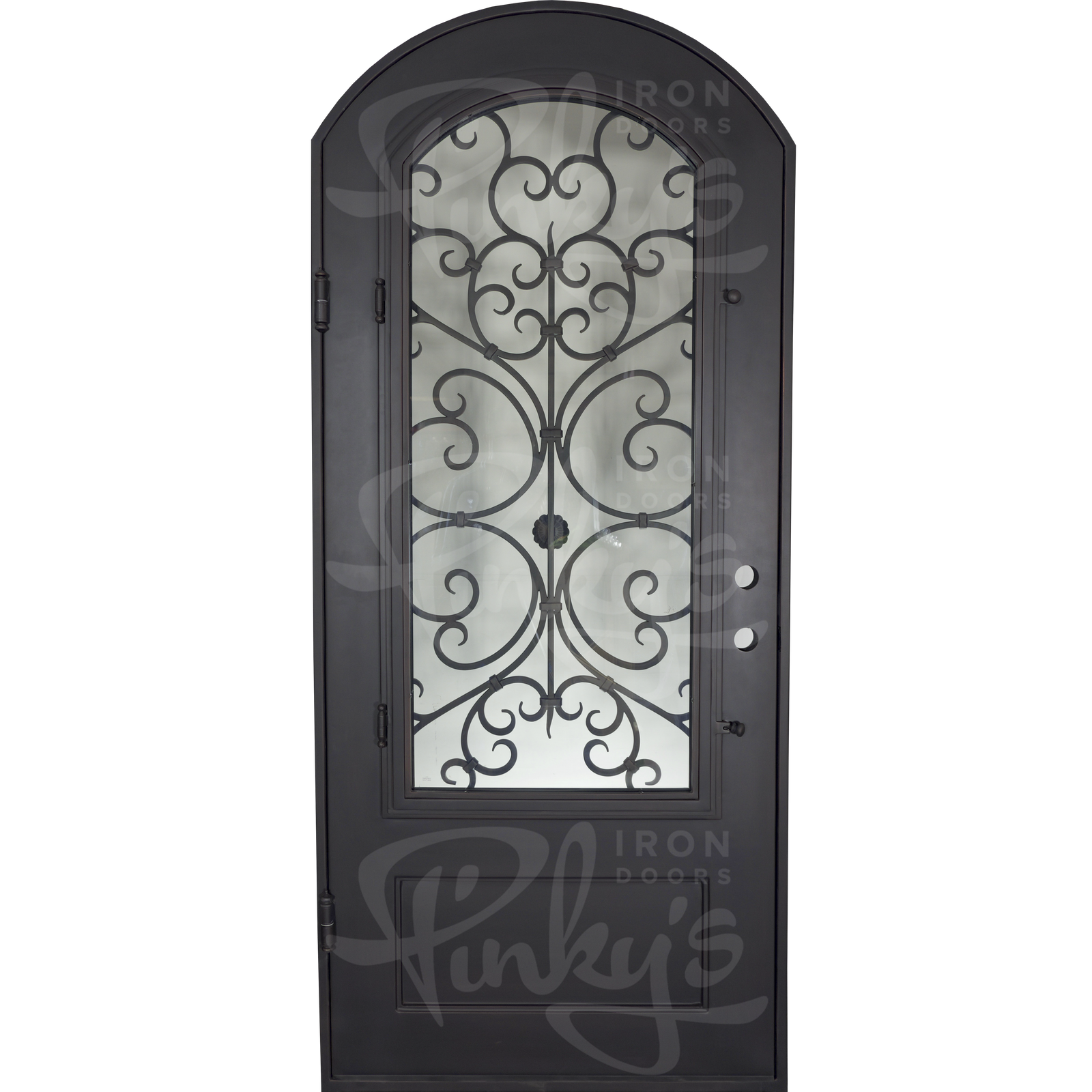Night bronze color iron single arch top door with energy efficient glass.
