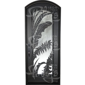 Single entryway door with a thick iron and steel frame and a full pane of glass behind intricate iron detailing.