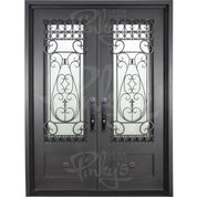 Parkside black exterior metal double door with dual-pane tempered glass and flat top.