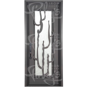 Single entryway door with a thick iron and steel frame. Door features a full-length pane of glass behind iron cactus detailing and is thermally broken to protect from extreme weather.
