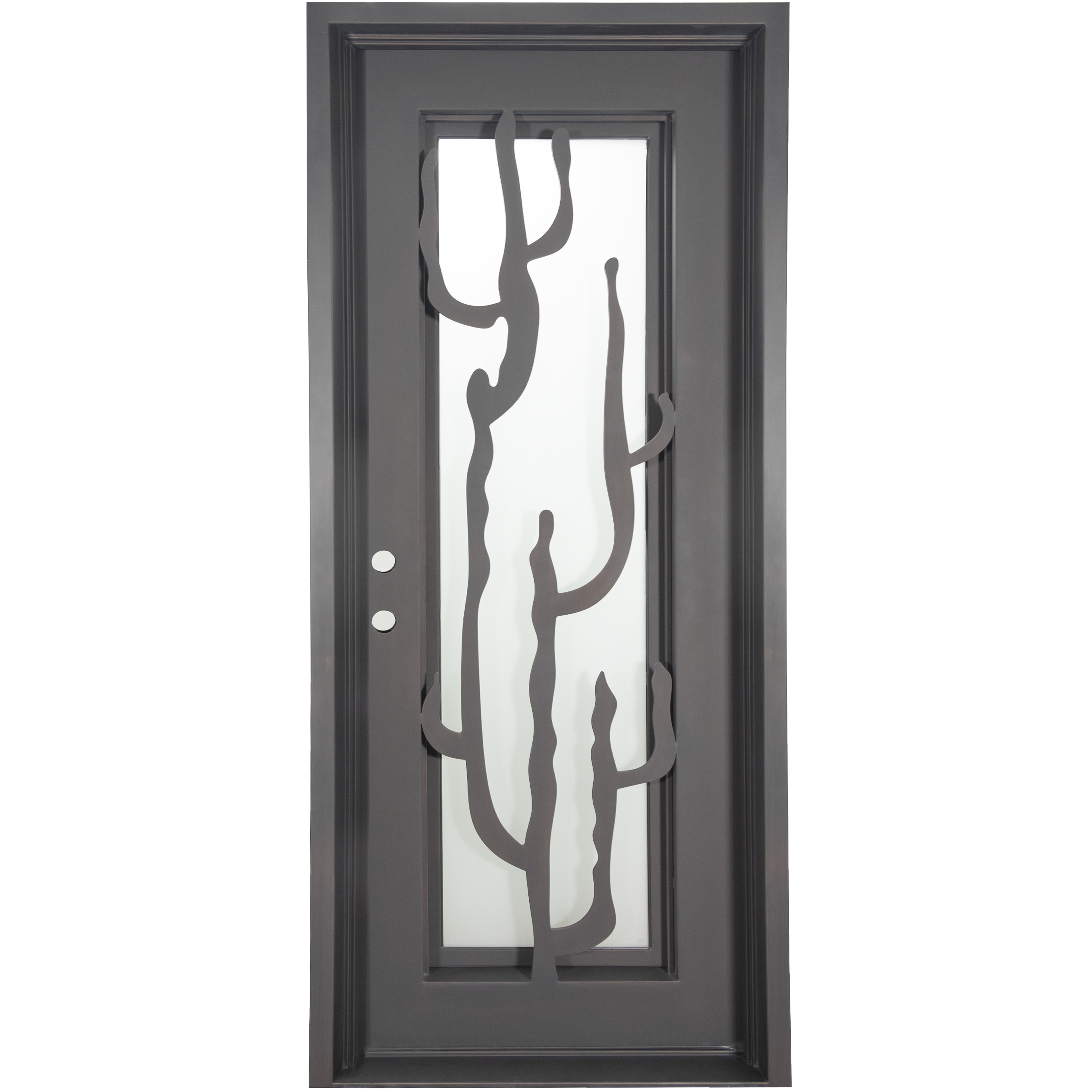 Single entryway door with a thick iron and steel frame. Door features a full-length pane of glass behind iron cactus detailing and is thermally broken to protect from extreme weather.