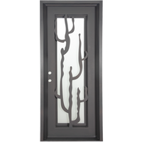 Single entryway door with a thick iron and steel frame. Door features a full-length pane of glass behind iron cactus detailing.