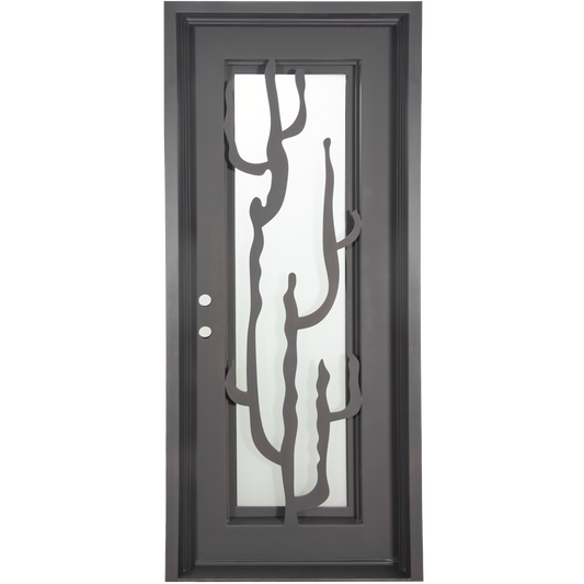 Single entryway door with a thick iron and steel frame. Door features a full-length pane of glass behind iron cactus detailing.