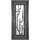 Single entryway door with a thick iron and steel frame. Door features a full-length pane of glass behind iron cactus detailing.